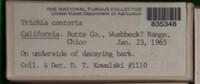 Image Associated With the Occurence